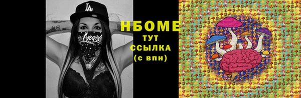 прущие грибы Баксан