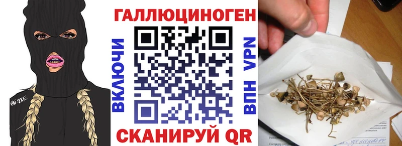 кракен tor  Новоуральск  Псилоцибиновые грибы Cubensis 